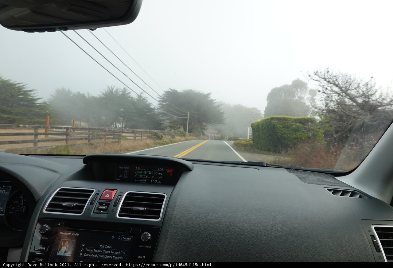 Driving through the Fog