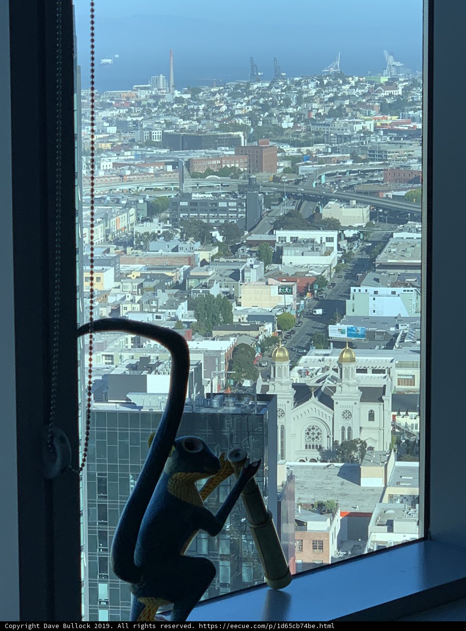 Monkey in the Metropolis