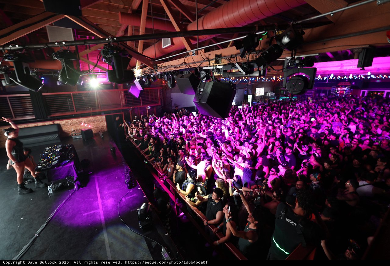 Massive Crowd Surges at Wobbleland 2026 Festival
