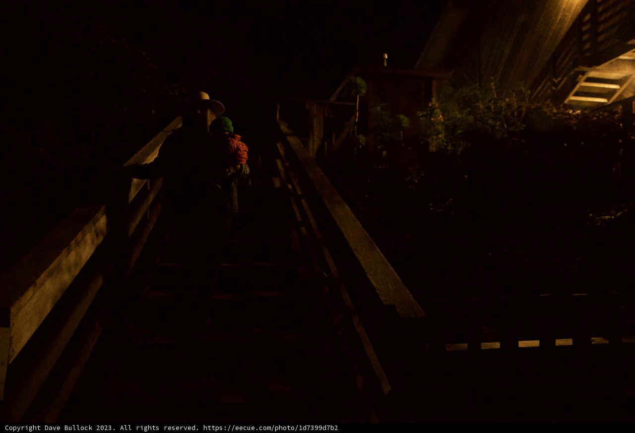 Midnight Crossing: A Journey Unveiled