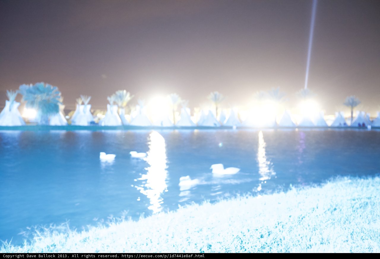 Glistening Waters at Night