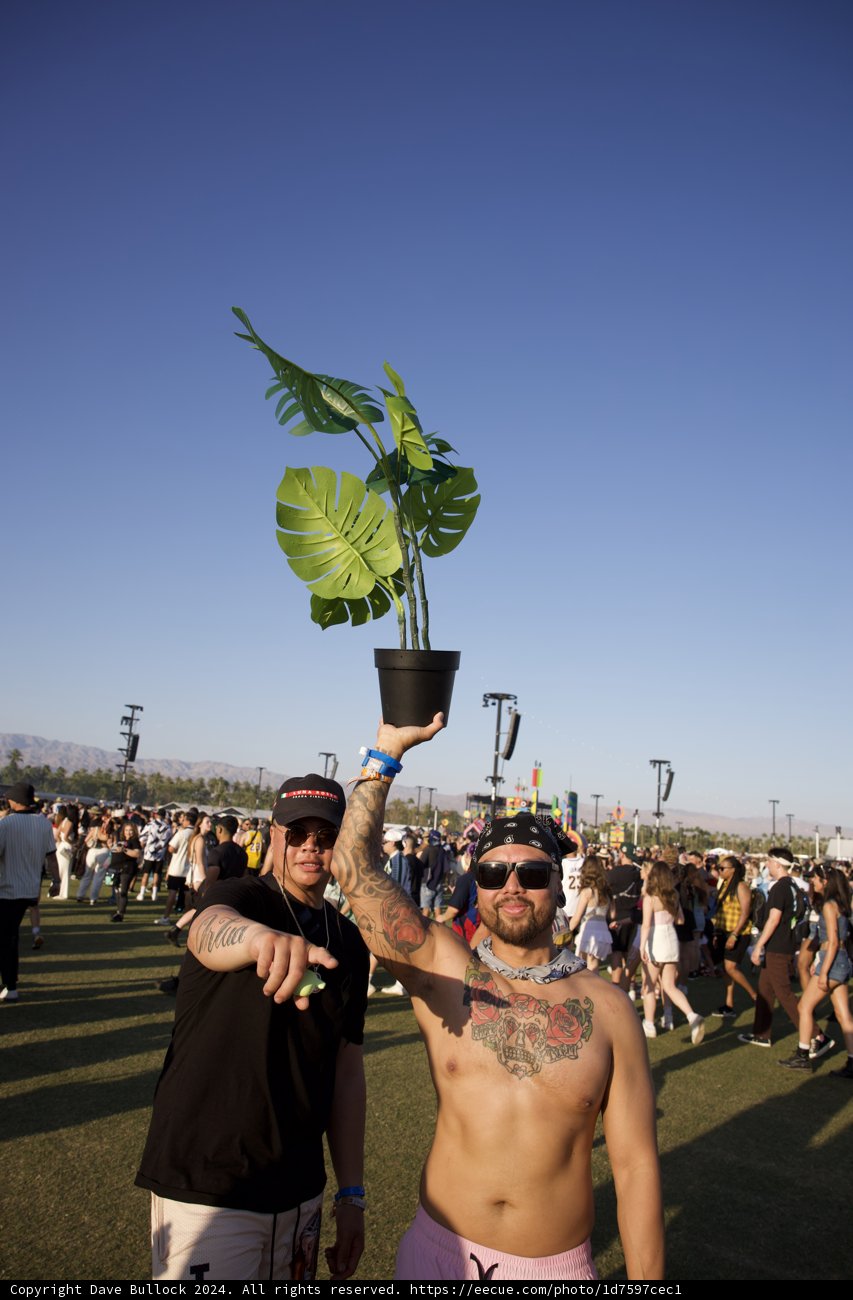 Sylvan Vibes at Coachella 2024