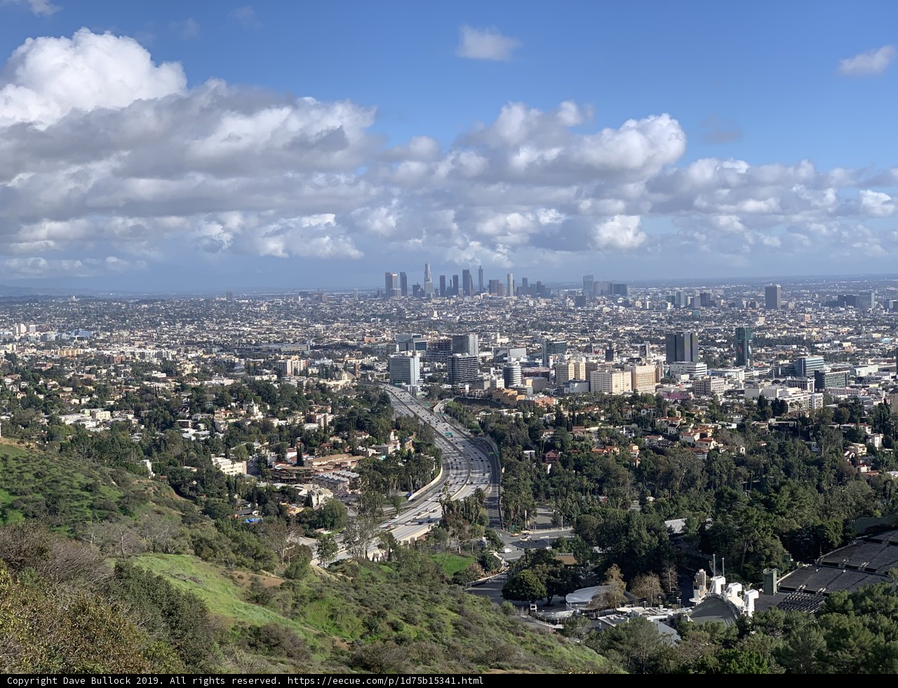 Overlooking the Urban Jungle