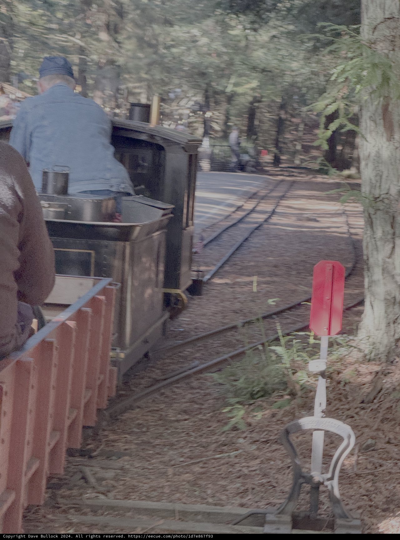 Steam Train Journey Through Forest Railway