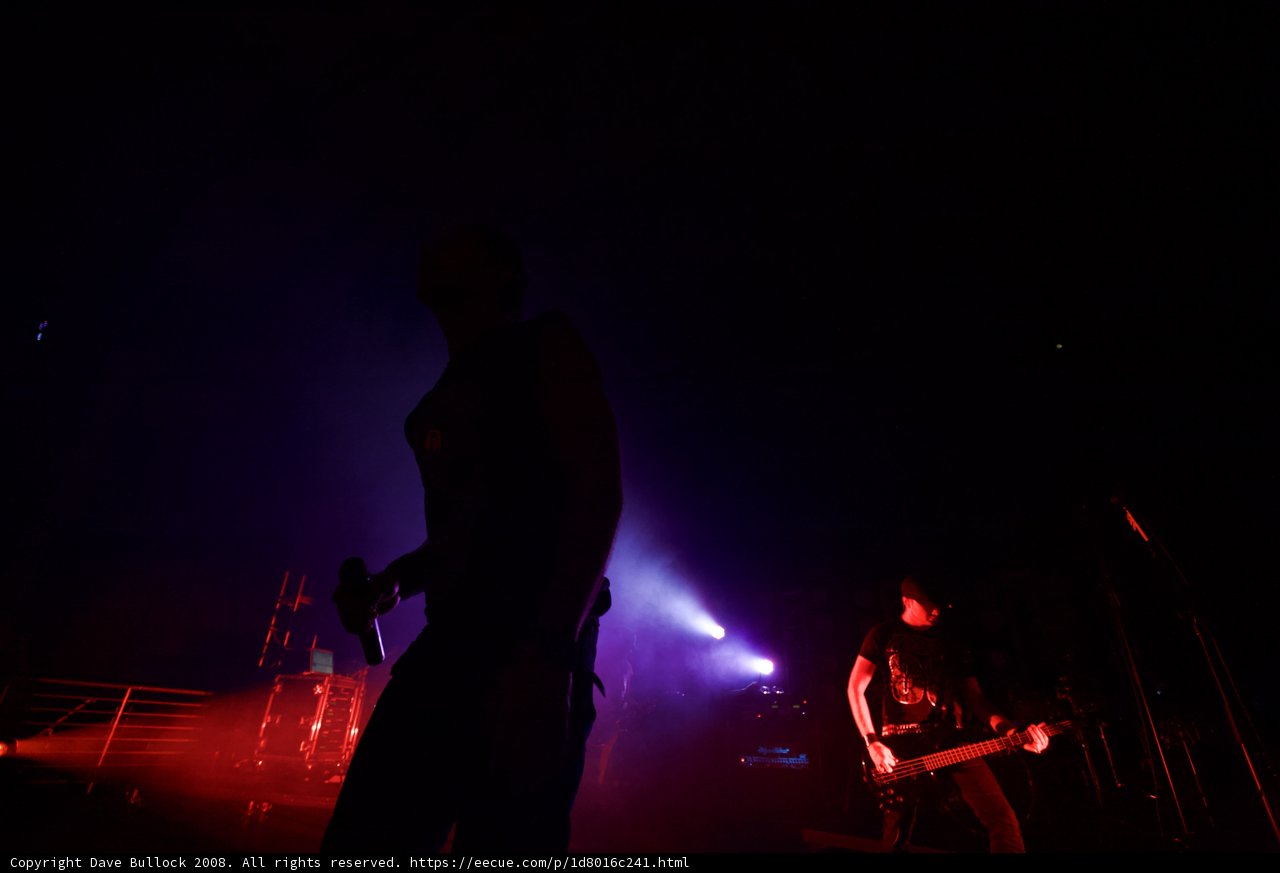 Rockin' out at Coachella