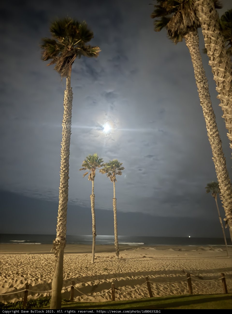 Moonlit Serenity by the Shore