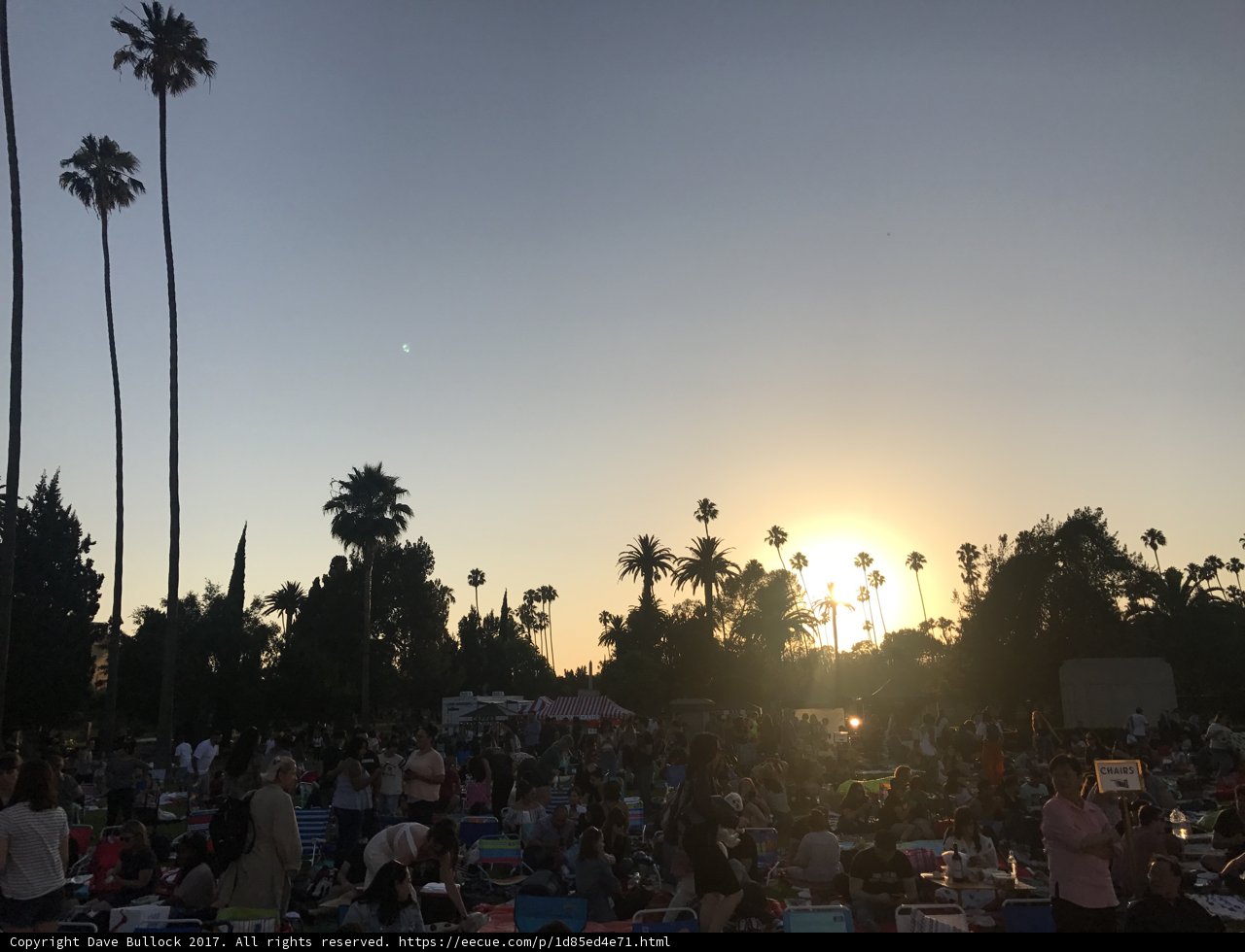 Summer Sunset Concert with Palm Trees