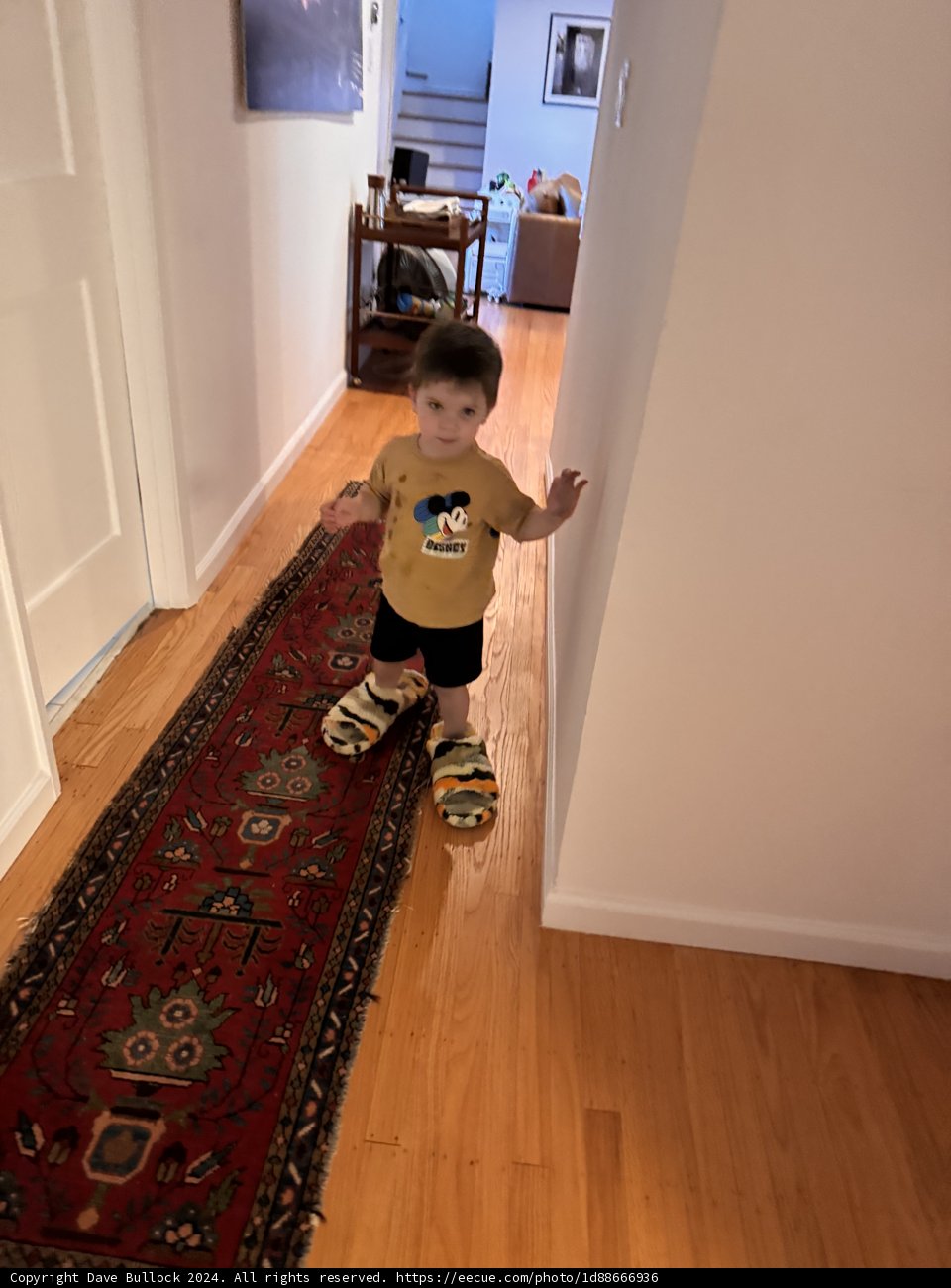 Little Adventurer in Big Slippers