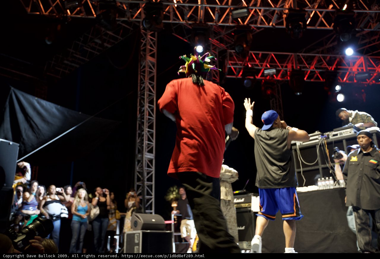 Professor Griff Taking the Stage at Coachella 2009