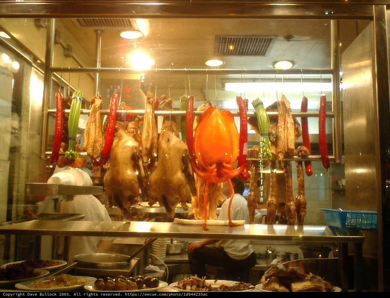 Meat Display in a Butcher Shop