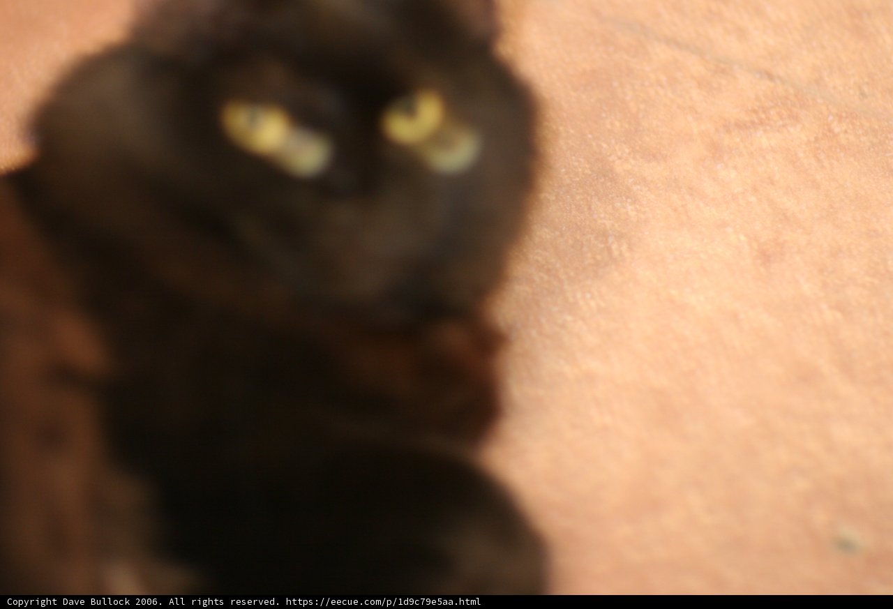 Black Cat Lounge