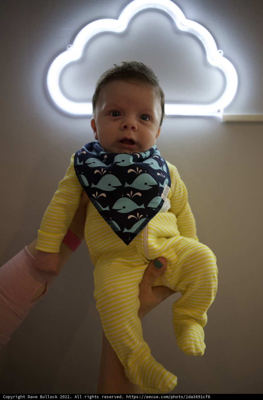 Radiant Glow: Wesley at 2 Months