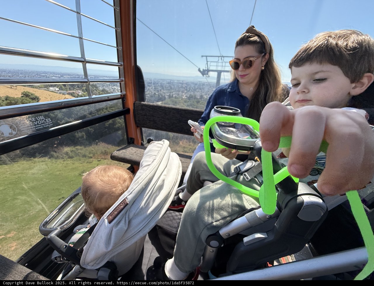 Sky-High Adventures at the Zoo