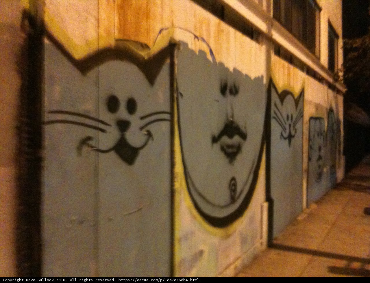 Faces of LA Graffiti