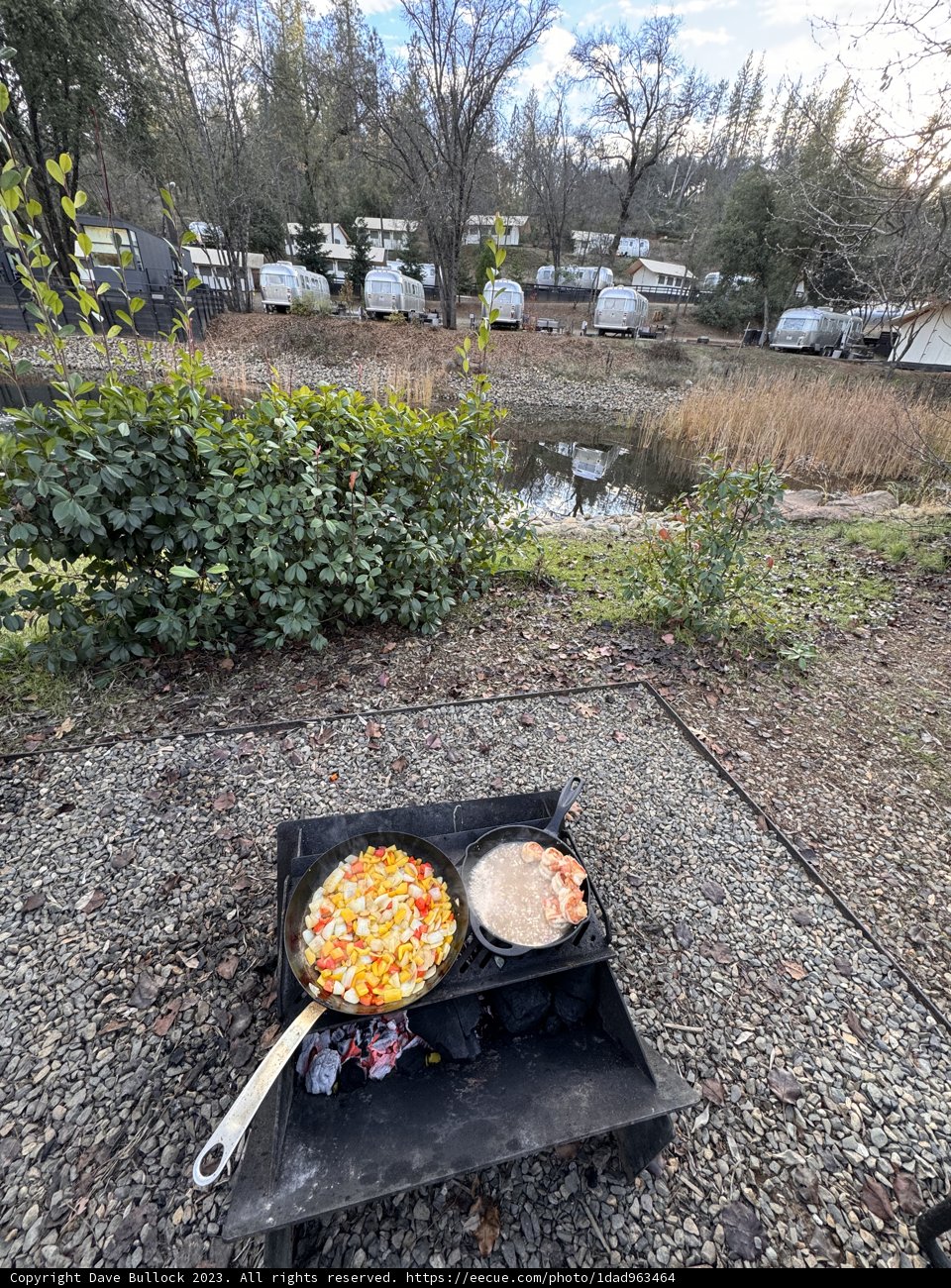 Roadside Barbecue: Flavor of Adventure