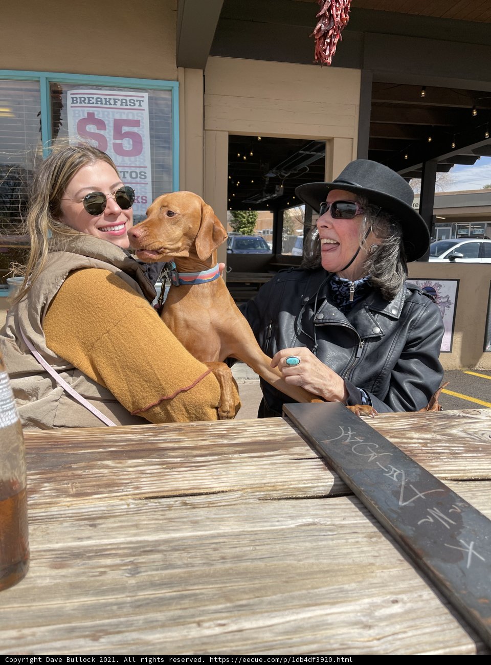Lunch with Friends and Furry Companion