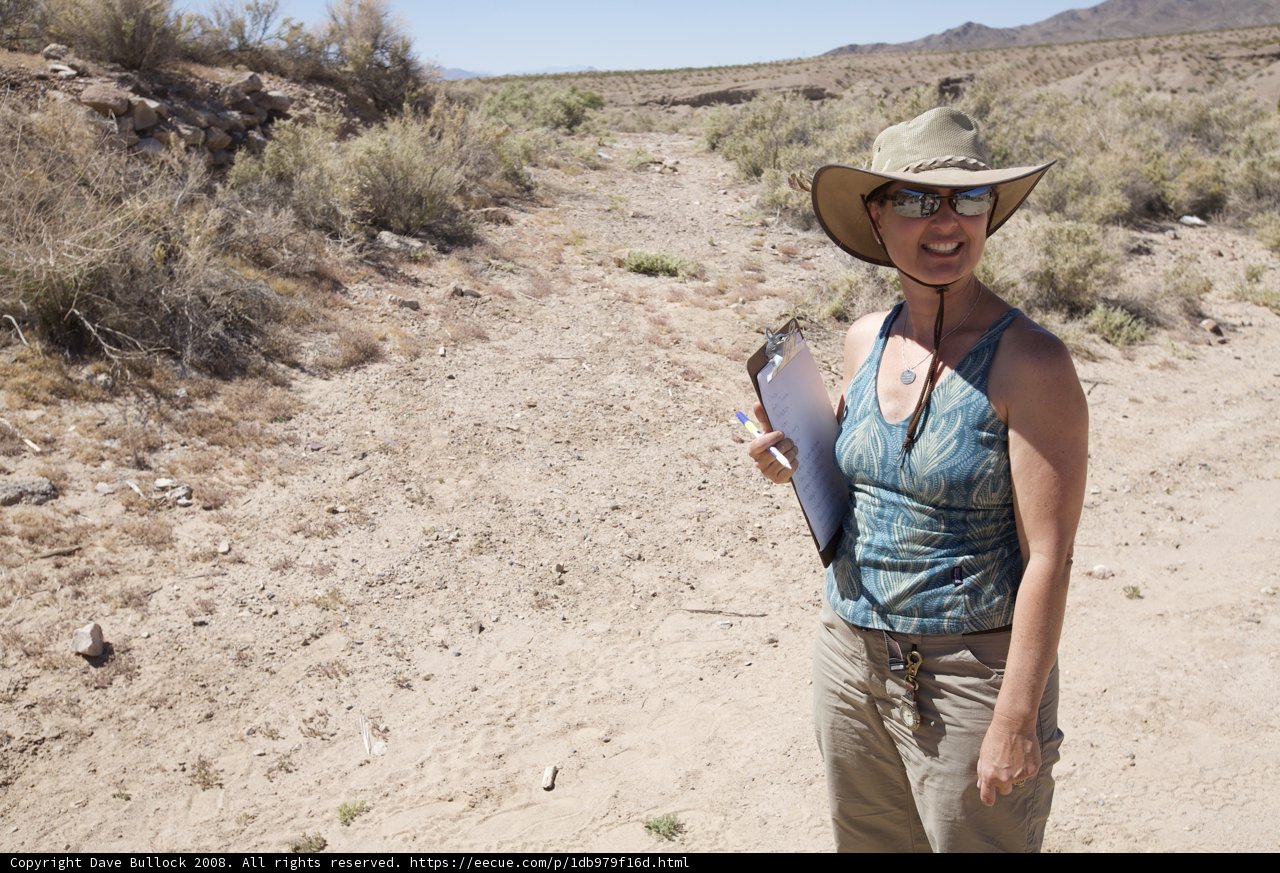 Desert Chic