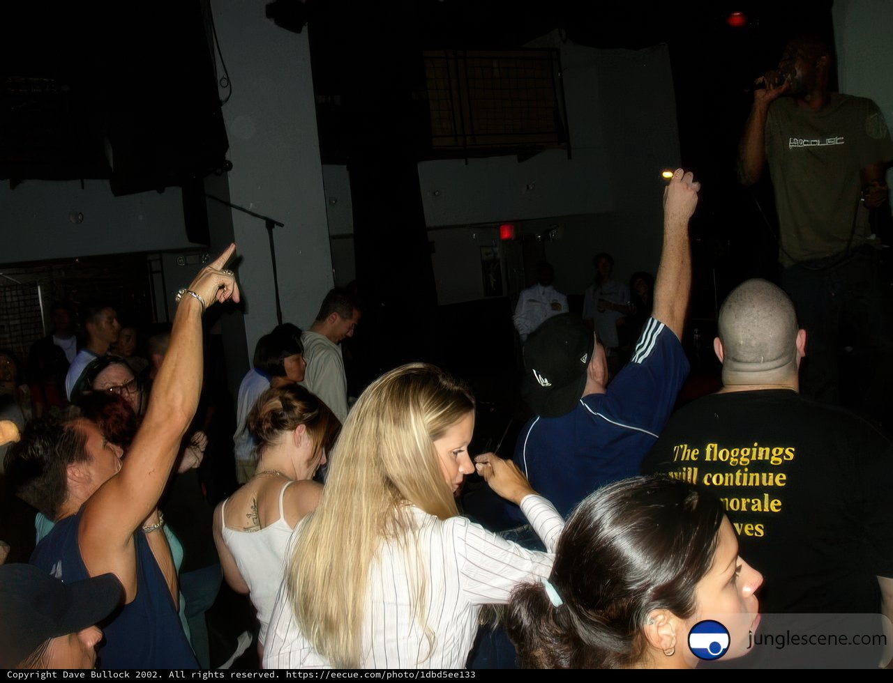 Nightclub Concert with Microphone