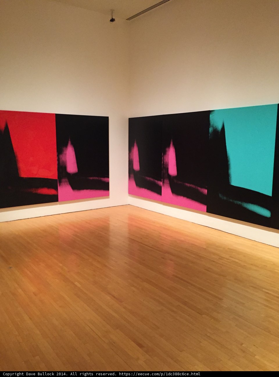 Artistic Display on Hardwood Flooring