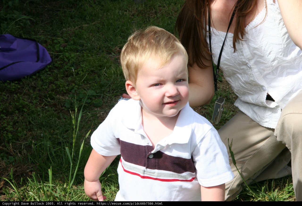 Little Boy in the Grass