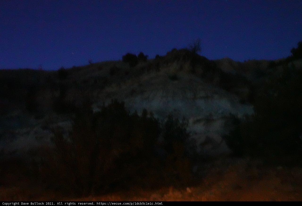 Nighttime Majesty