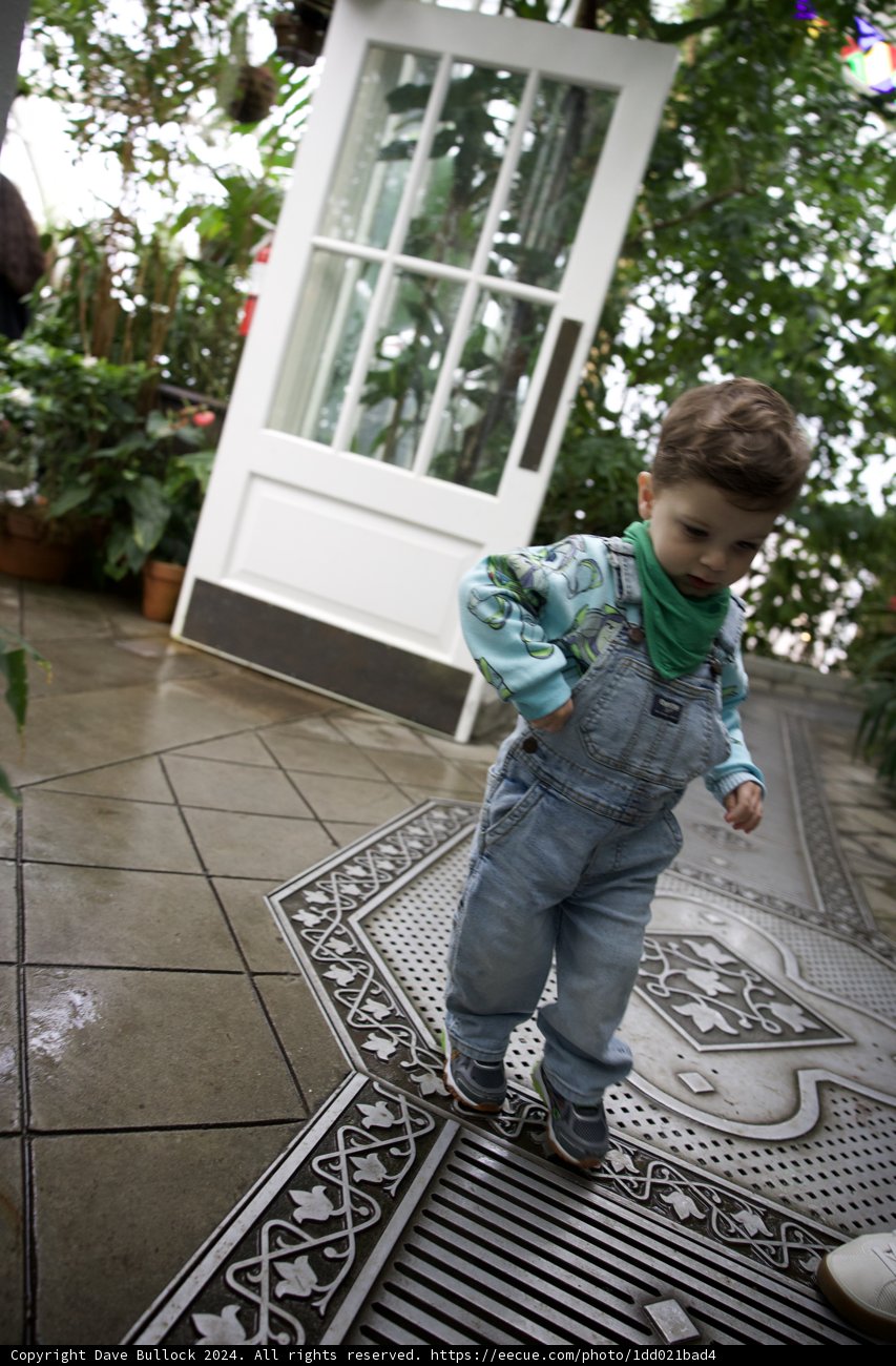 Exploring Conservatory of Flowers: A Young Wanderer's View