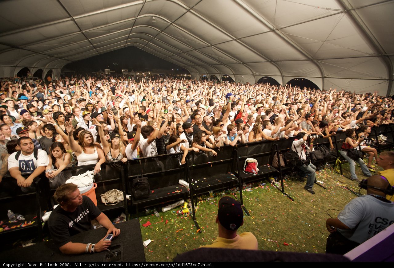 The Electric Crowd at Coachella 2008