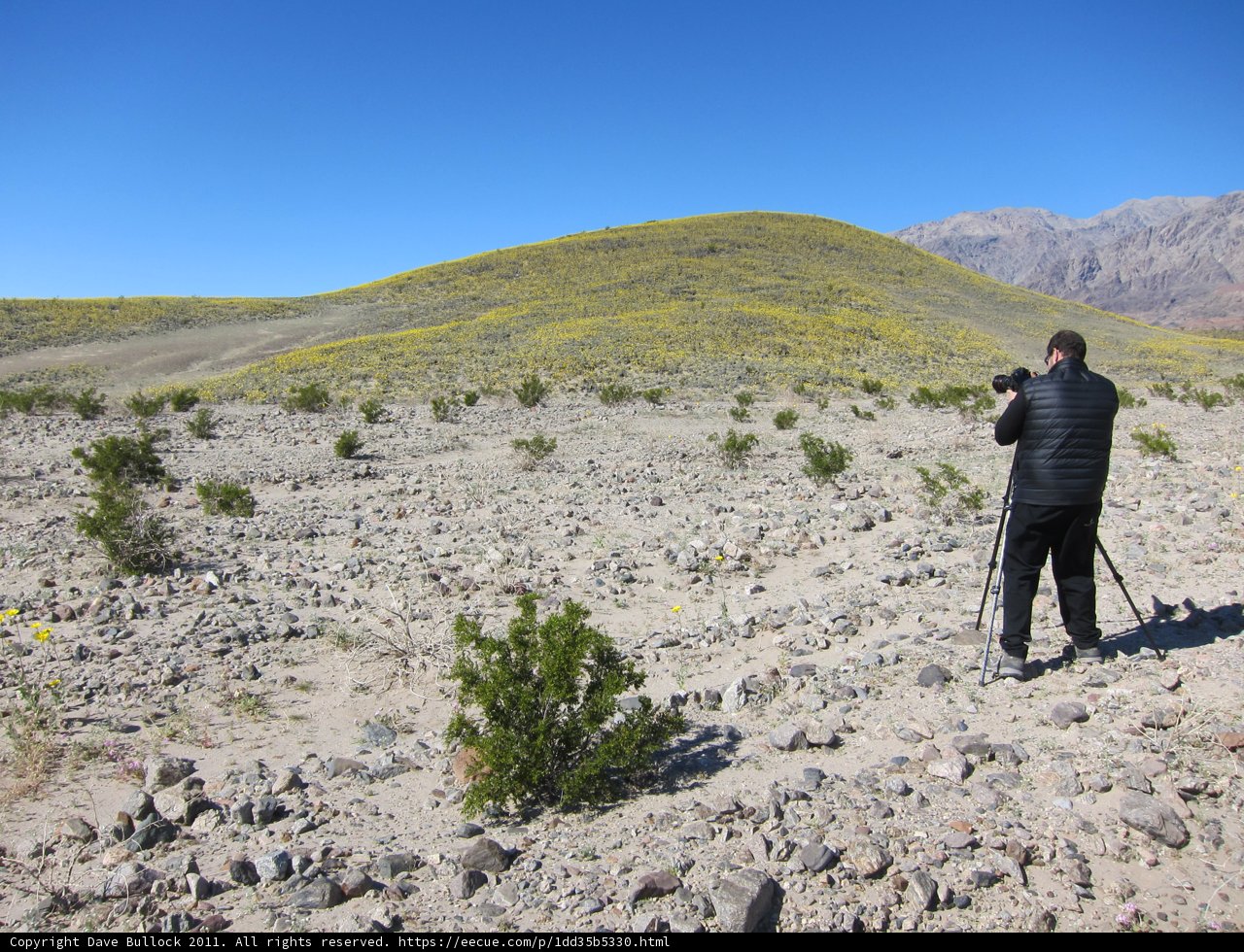 Capturing the Wilderness