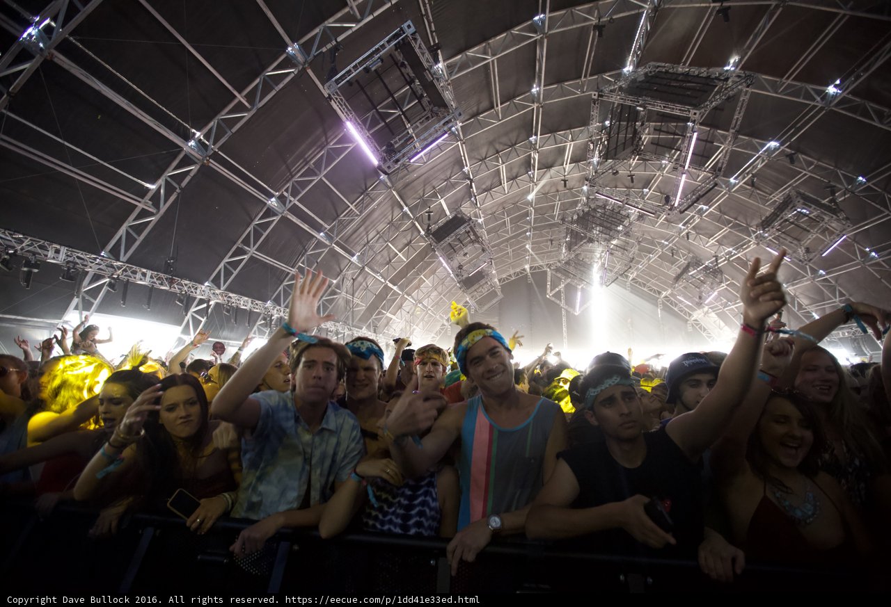 Coachella Crowd