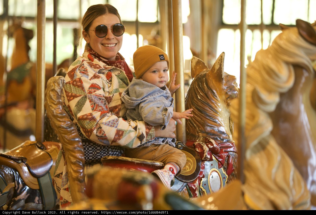 Carousel Delight at SF Zoo