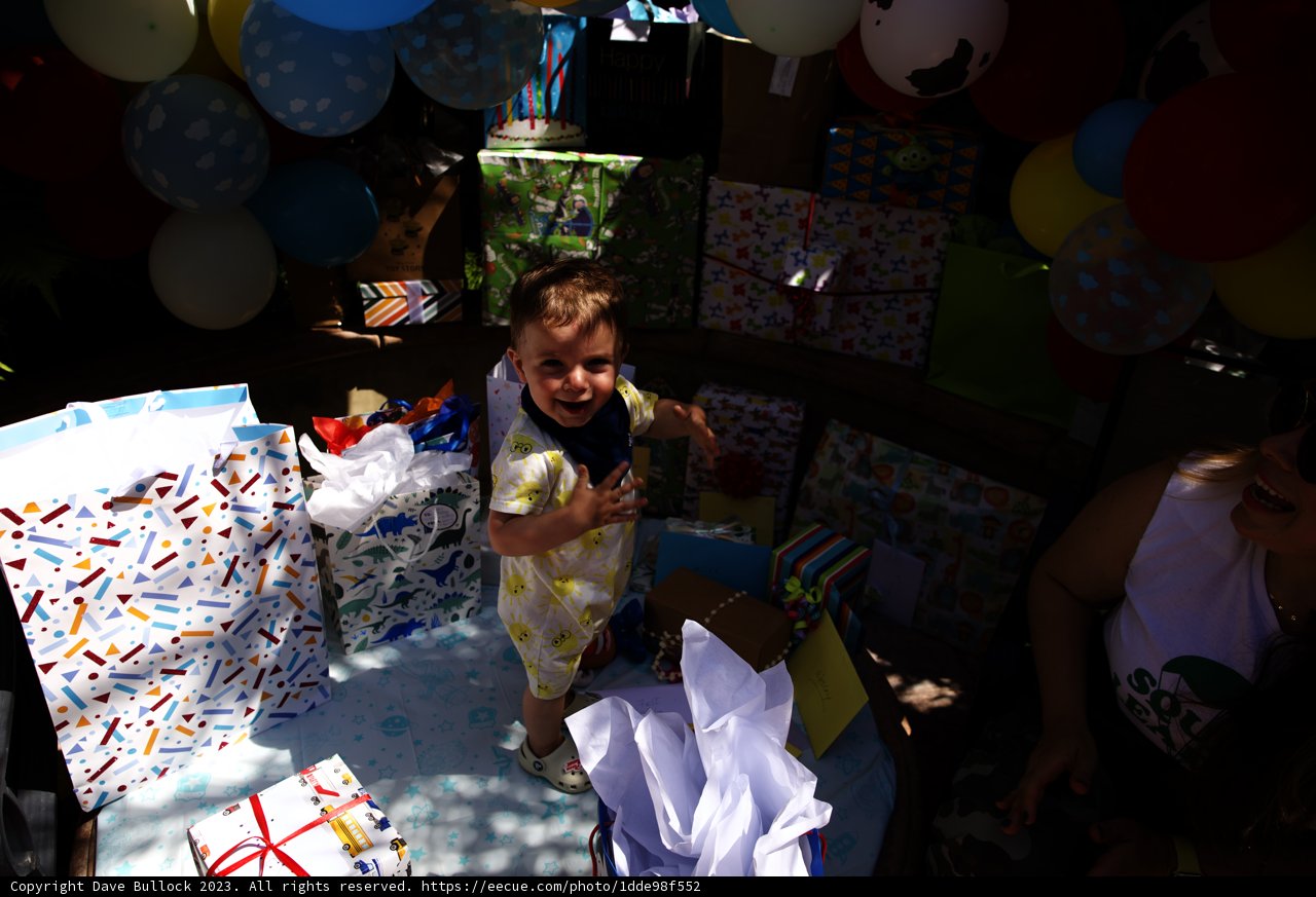 Birthday Delight: Wesley's First Balloon Adventure