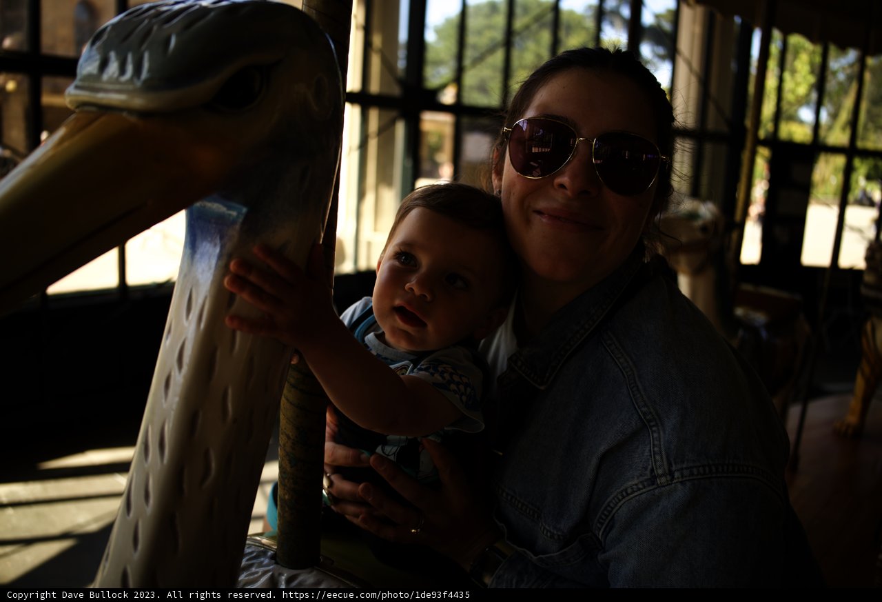Golden Moments on the Carousel
