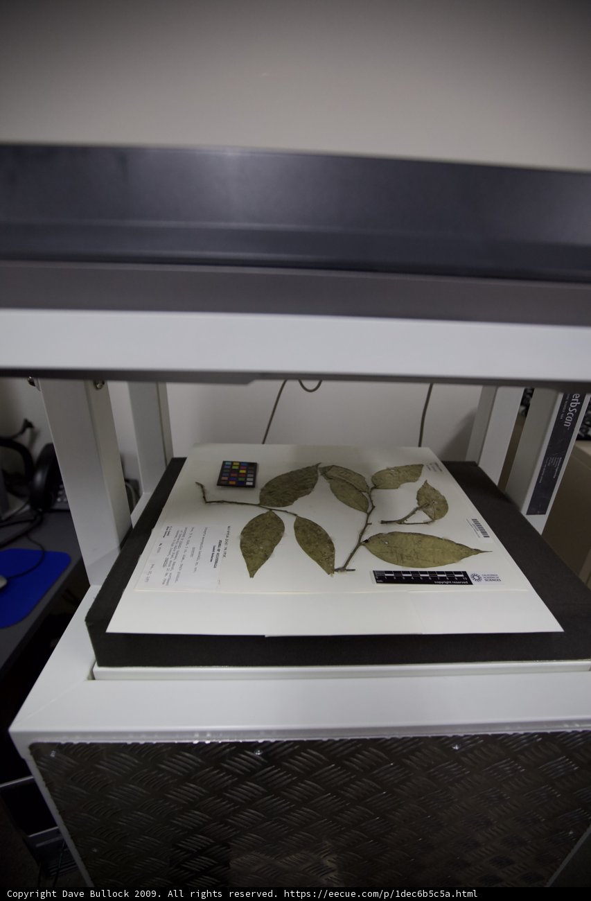 The Wired Plant Display