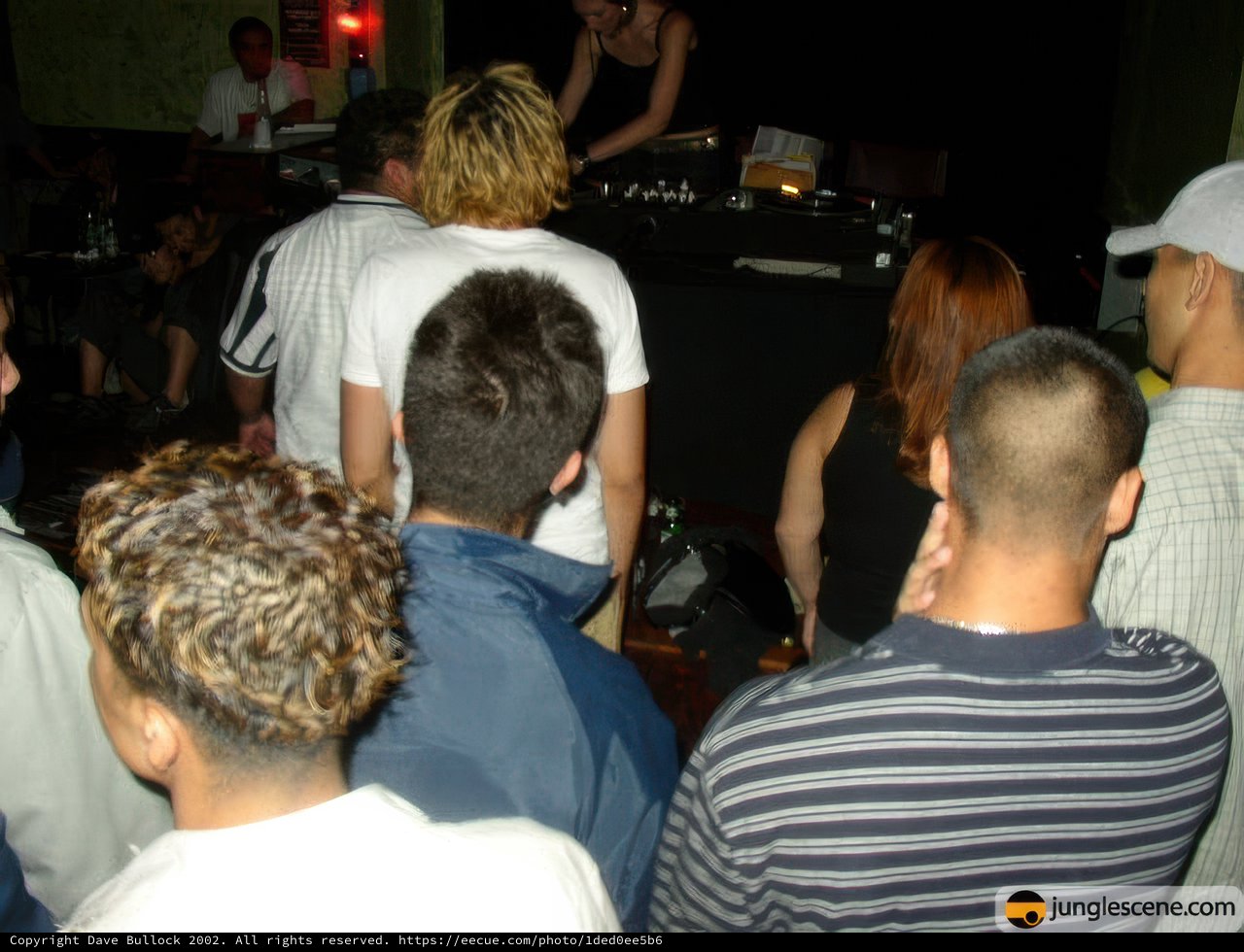 Nightclub Gathering