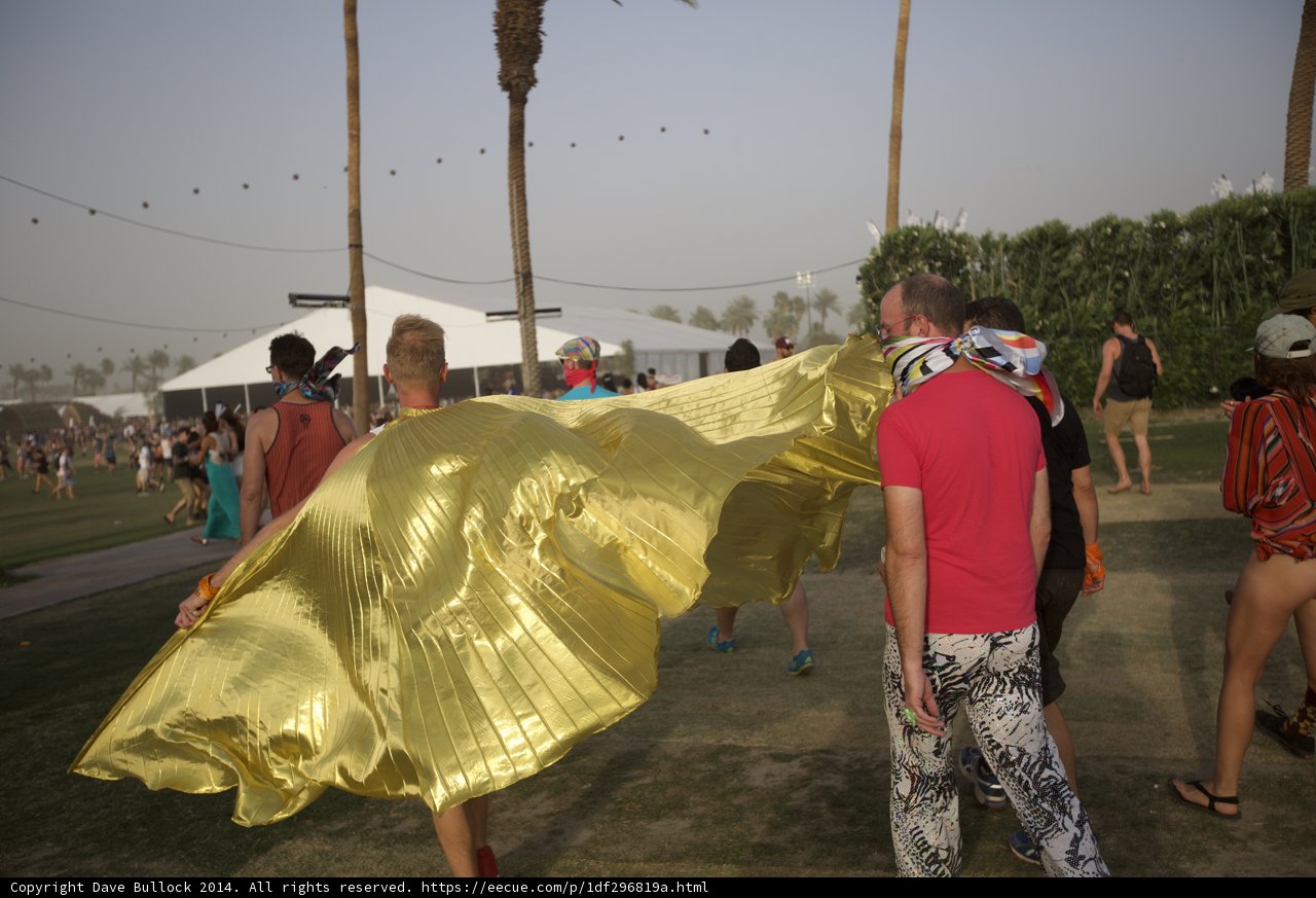 The Majestic Gold Cape