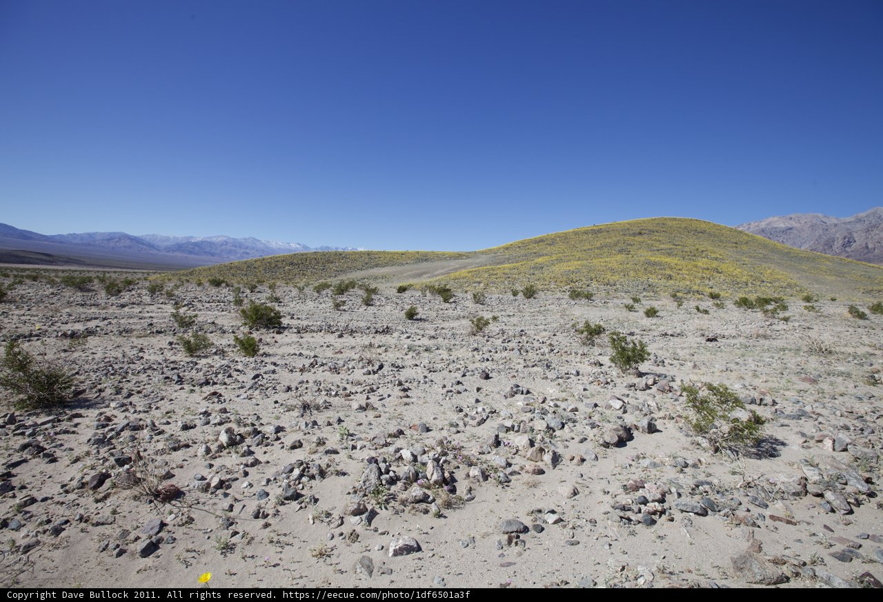 Solitude in the Wilderness
