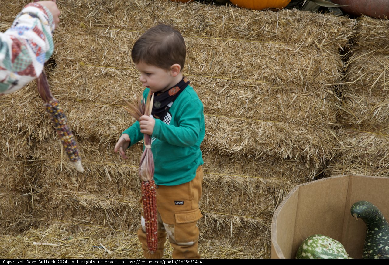 Autumn Adventures