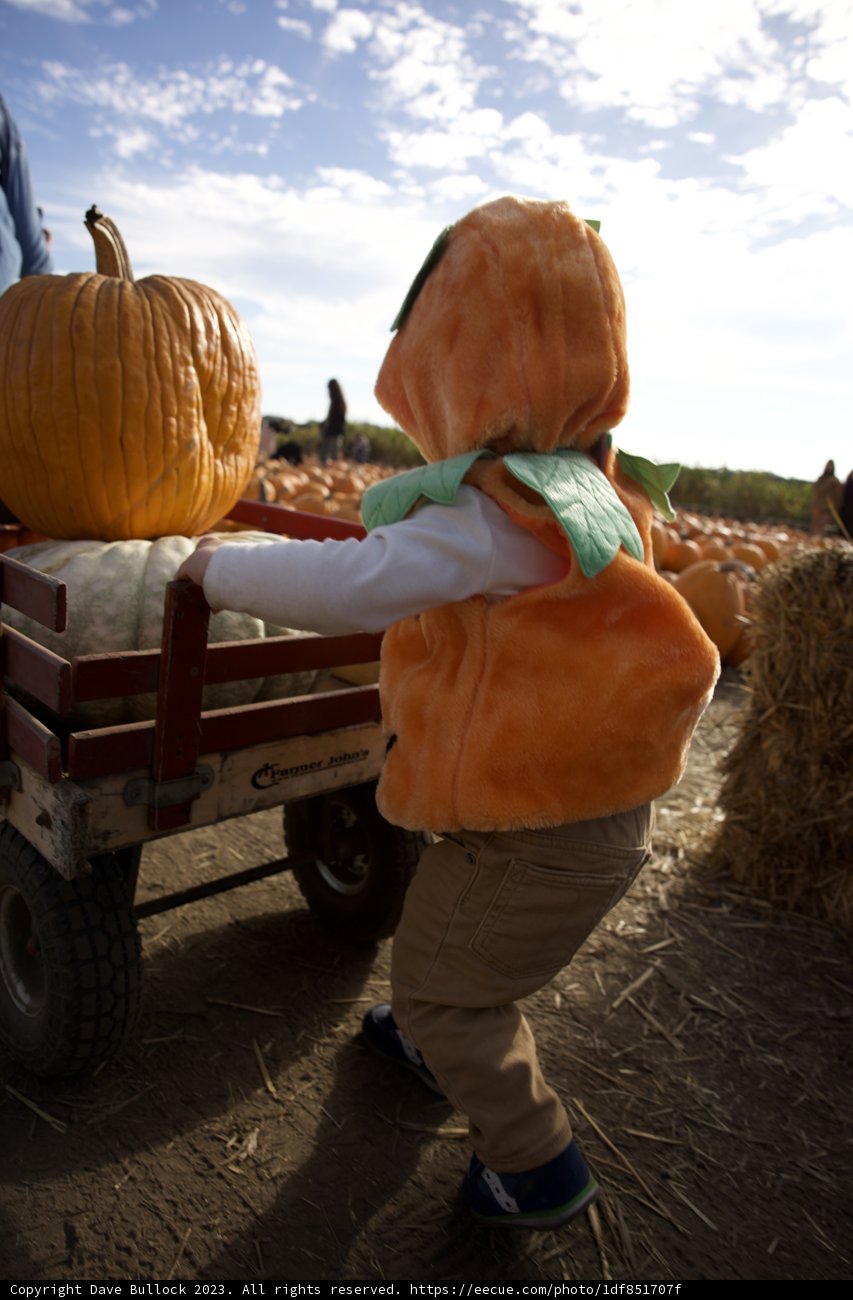 Pumpkin Patch Adventure 2023