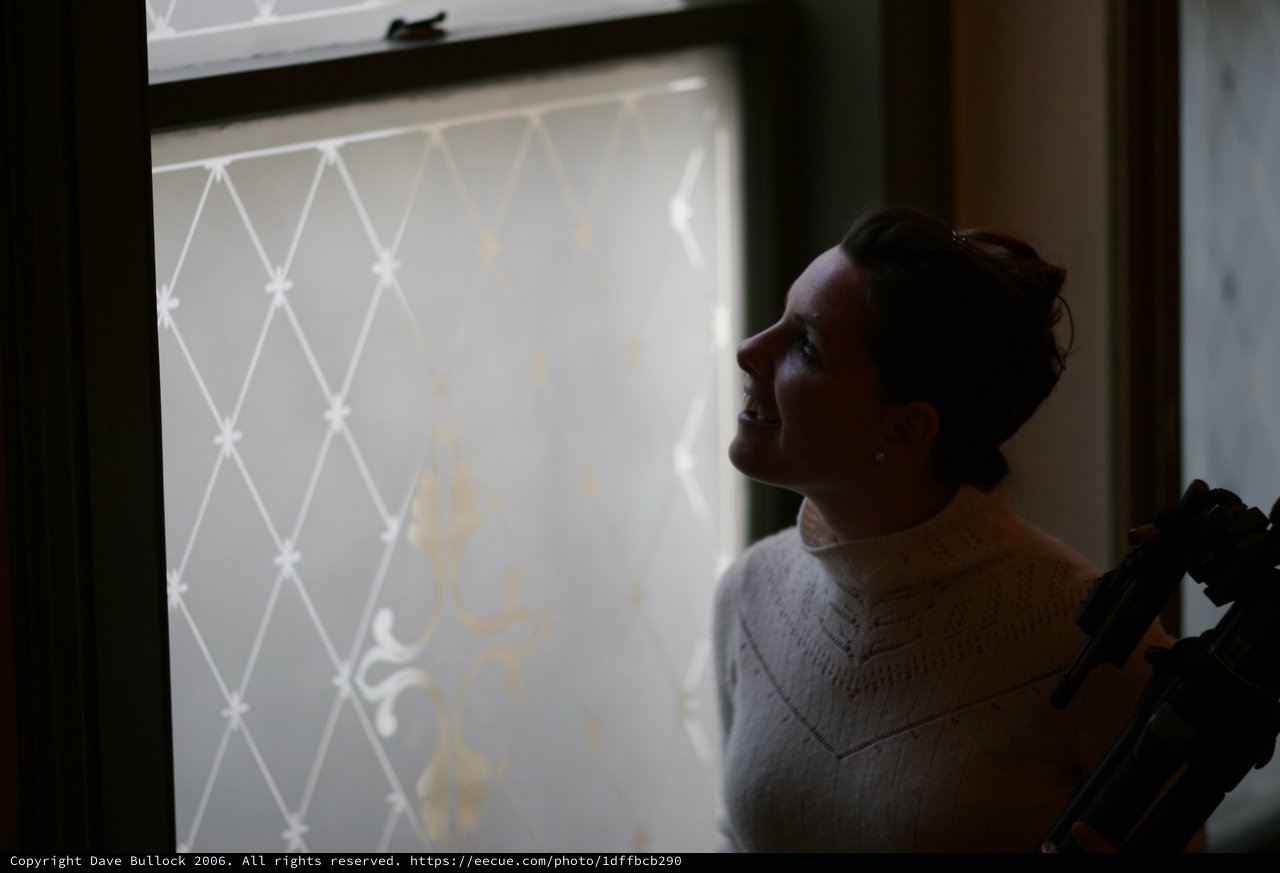 Silhouette of Woman Gazing Through Ornate Frosted Window
