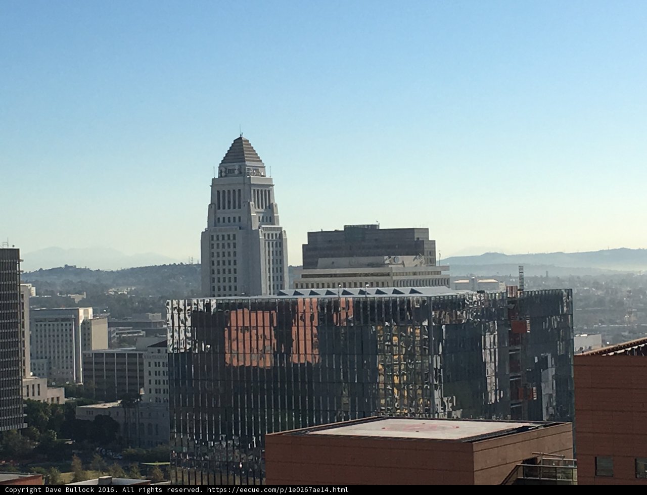 A Bird's Eye View of the Urban Jungle
