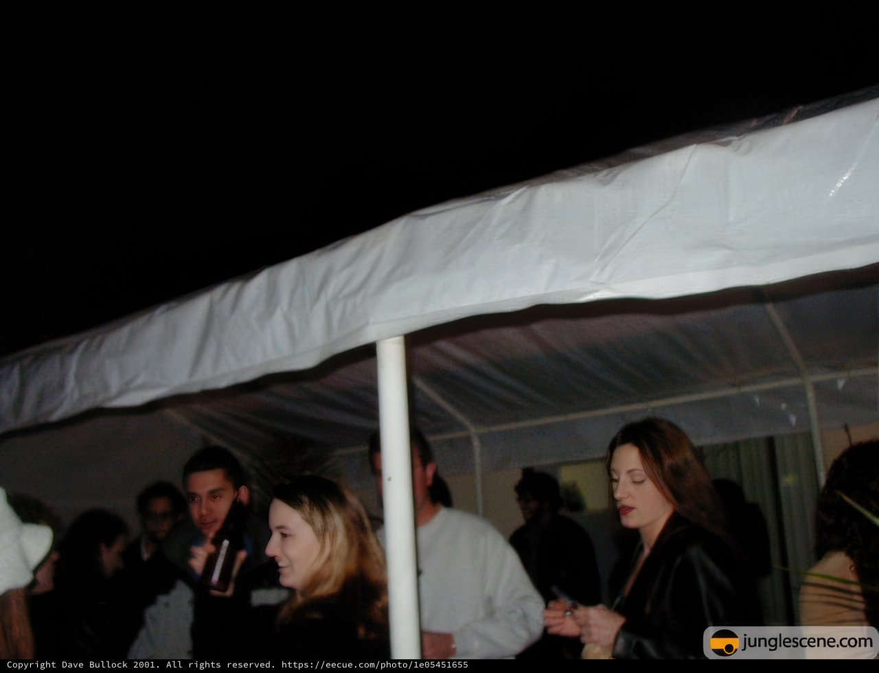 New Year's Eve Celebration Under the Stars