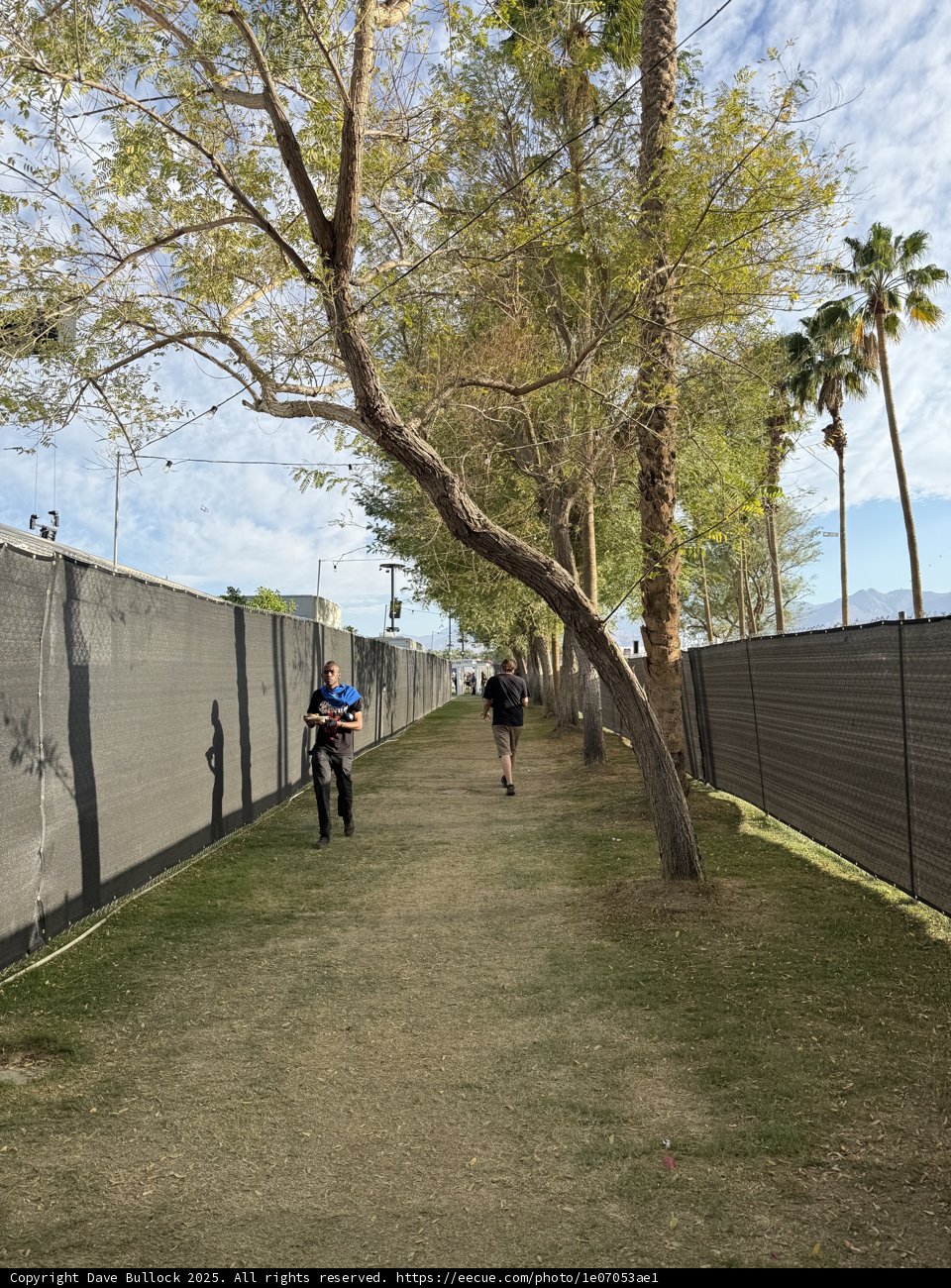 Strolling Through Springtime