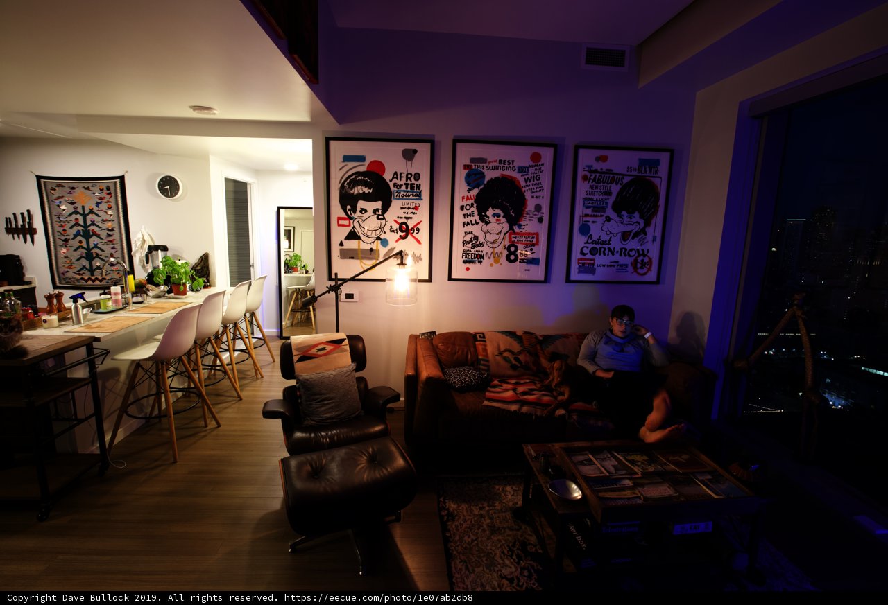 Relaxing in the Living Room