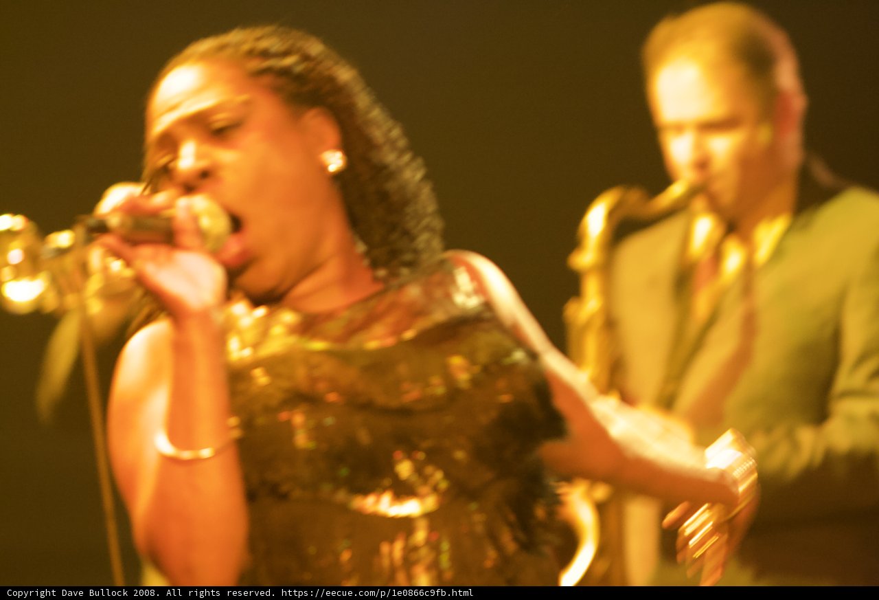 Coachella Concert Performance