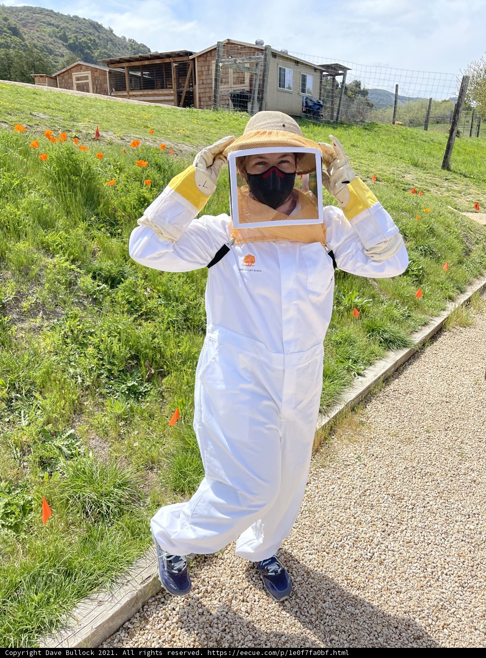 Beekeeping in the Countryside