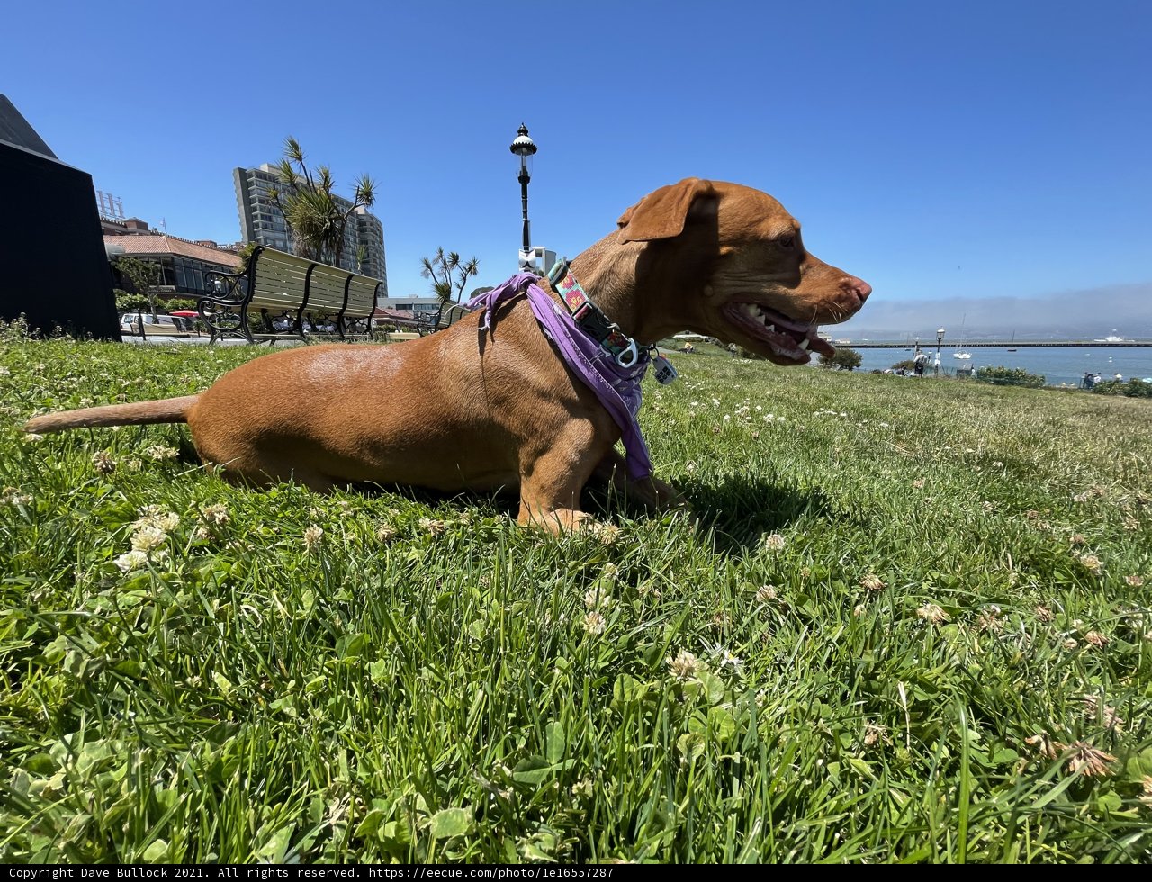 Sitting Pretty at San Francisco Maritime