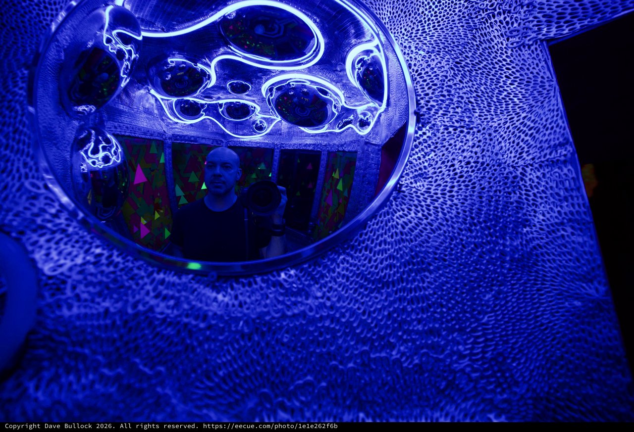 Immersive Blue UV Light Installation with Organic Forms