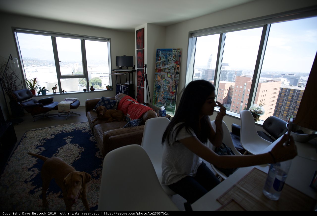 Living Room Companions