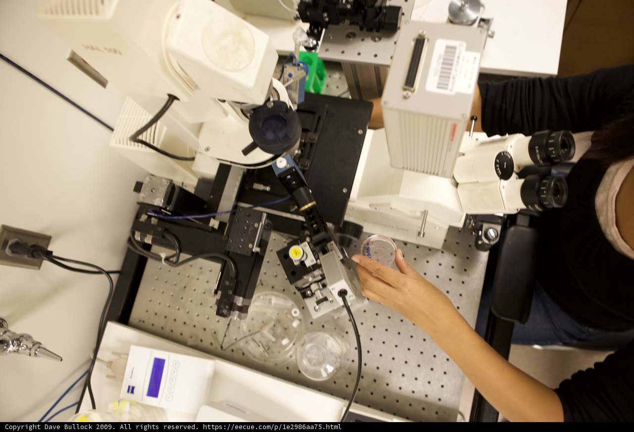 Microscopy in the Lab