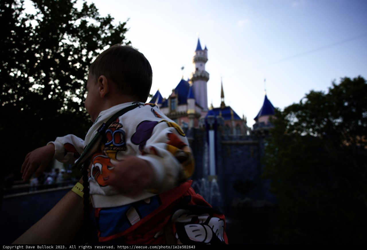 Magical Moments at Disneyland